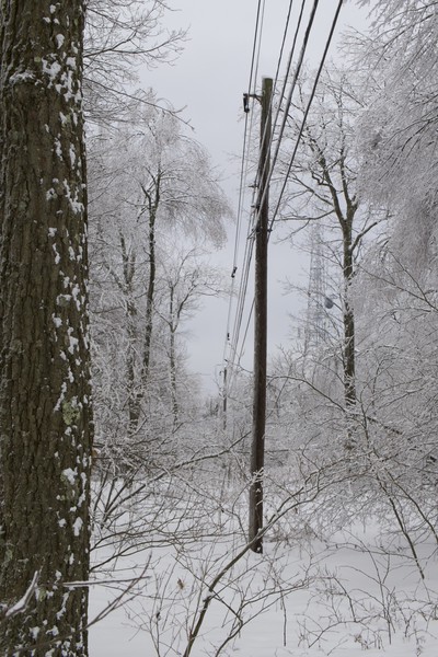 Frosty Power Lines