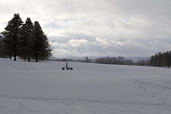 Calm after the Storm