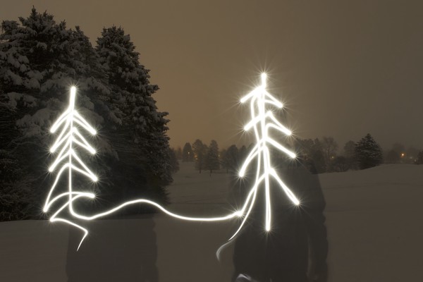 A Duet of Christmas Trees