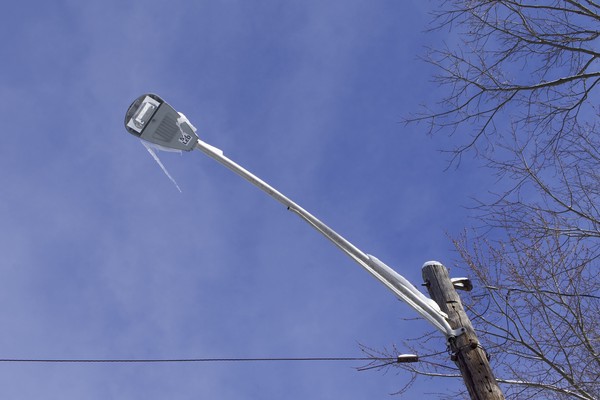 Chicken Wing Icicles