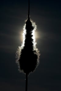 Canon EOS 7D Mark II · 148mm · f/32.0 · 1/4000 · ISO 100
